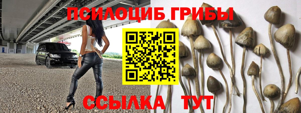 Псилоцибиновые грибы мицелий  Псилоцибиновые грибы Magic Shrooms  Тамбов  Вход с VPN 