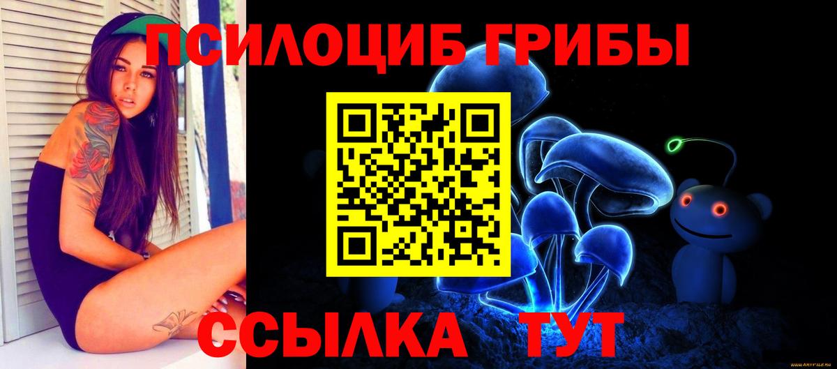 Галлюциногенные грибы мицелий Тамбов